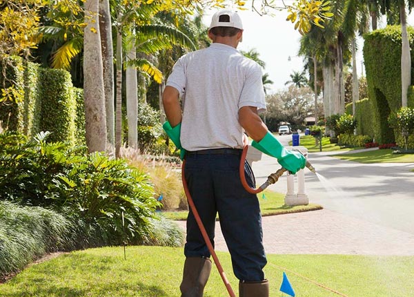 About Lincroft NJ Pest Control Pros